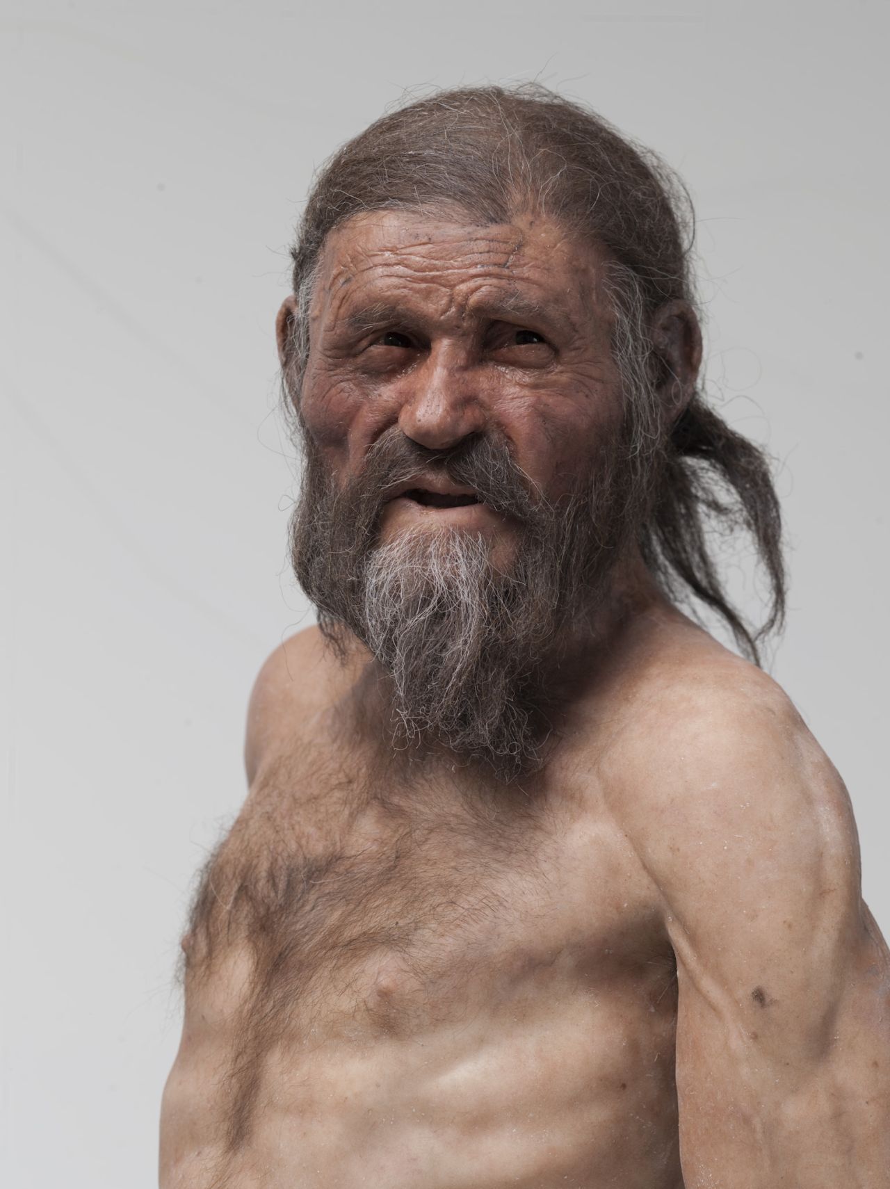 Wissenschaftler:innen gingen lange Zeit davon aus, Ötzi habe helle Haut und dichten Haarwuchs gehabt.