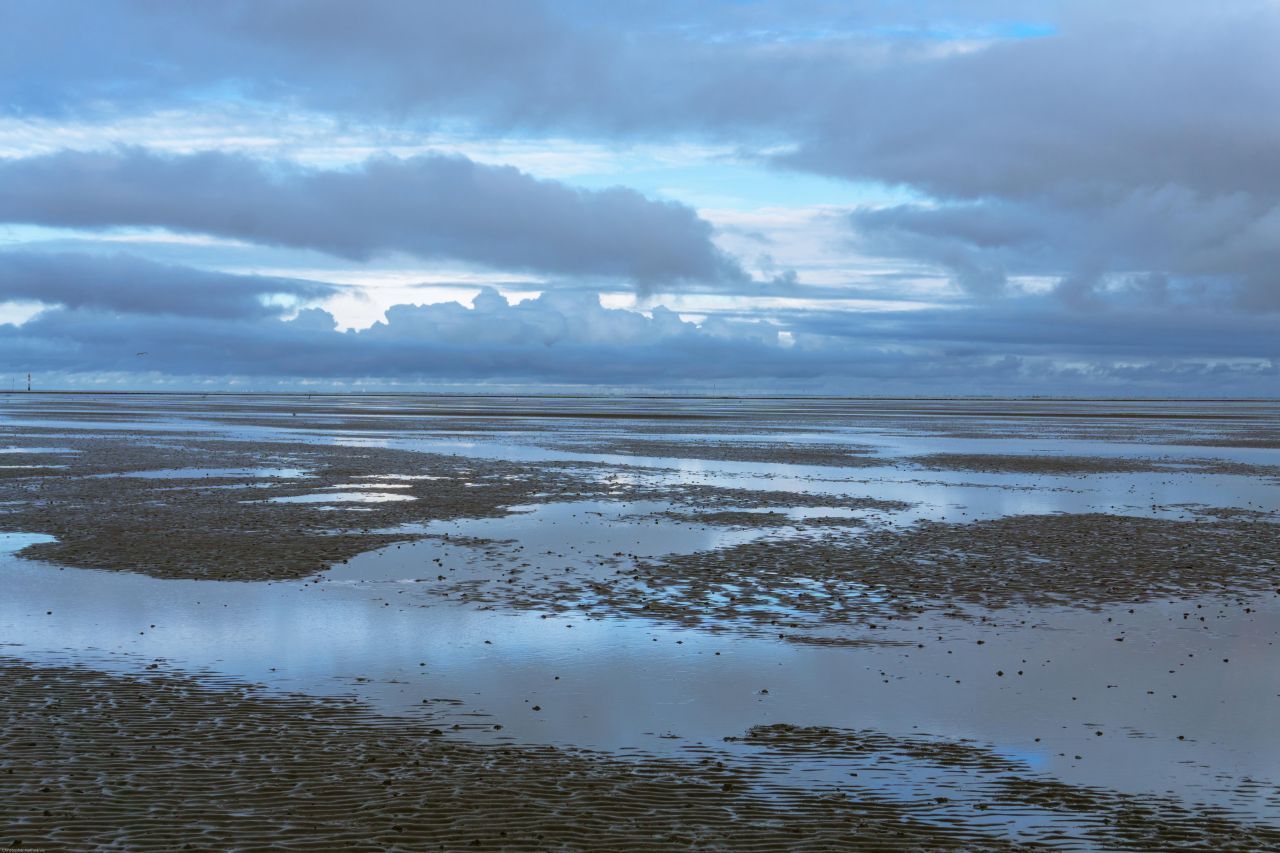 Das Wattenmeer erstreckt sich entlang der Küsten von Dänemark, Deutschland und den Niederlanden und bietet ein reiches Ökosystem. Während der Ebbe kann man hier im Watt wandern und die Tierwelt des Meeresbodens erkunden.