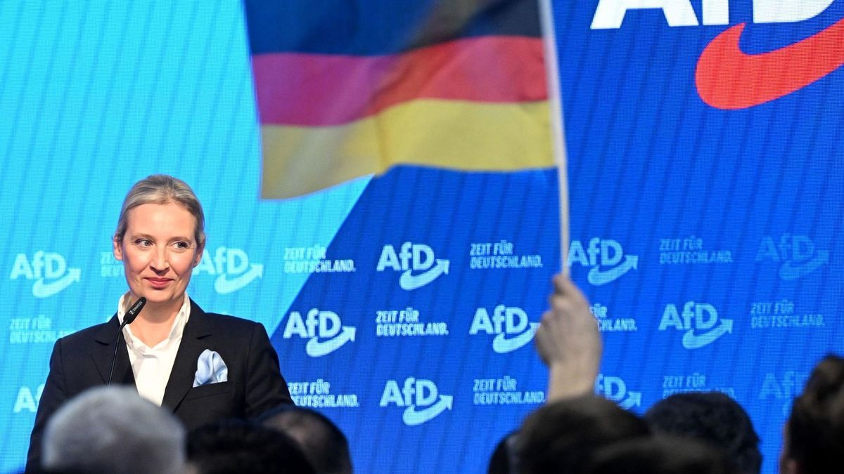 Bundestagswahl - AfD