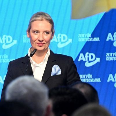 Bundestagswahl - AfD