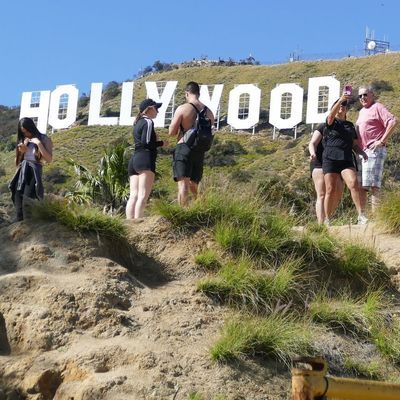 Hollywood-Hügel in Los Angeles