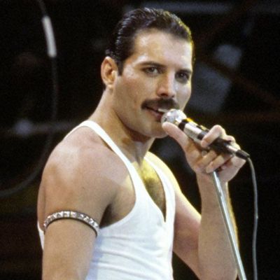 Profile image - Freddie Mercury