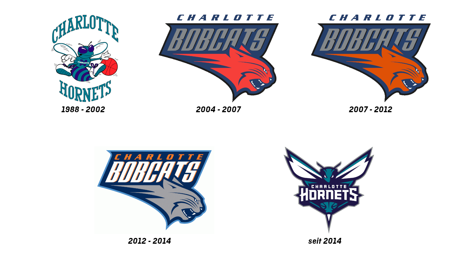 <strong>Charlotte Hornets</strong>