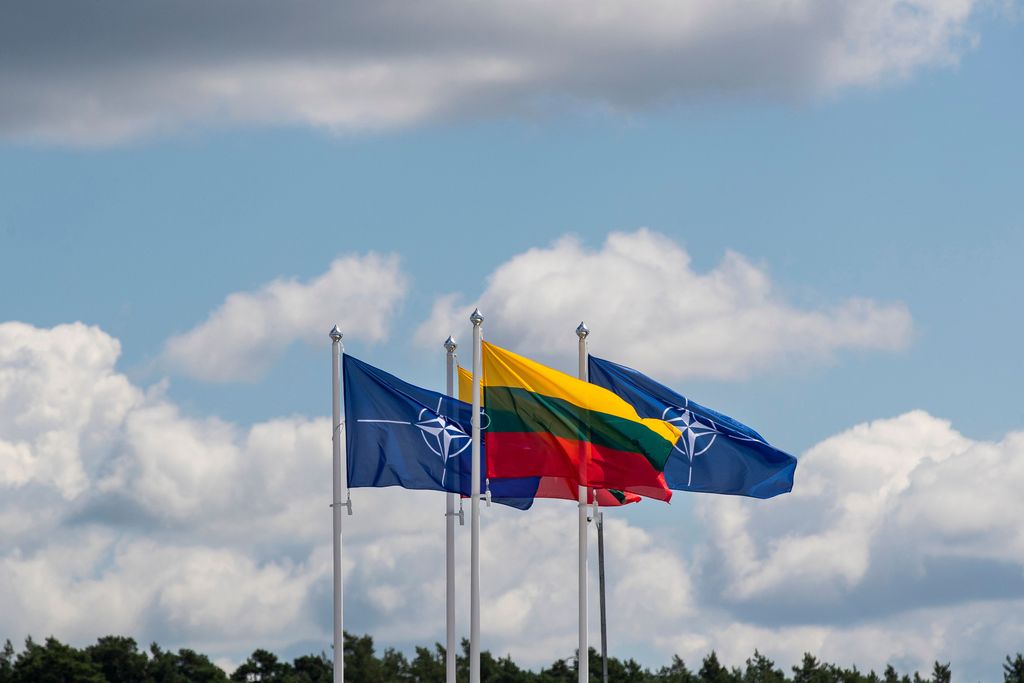 Litauen fordert NATO-Unterstützung - abgestürzte Drohne aus Belarus hatte Sprengsatz