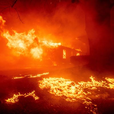 Feuerinferno bei Los Angeles