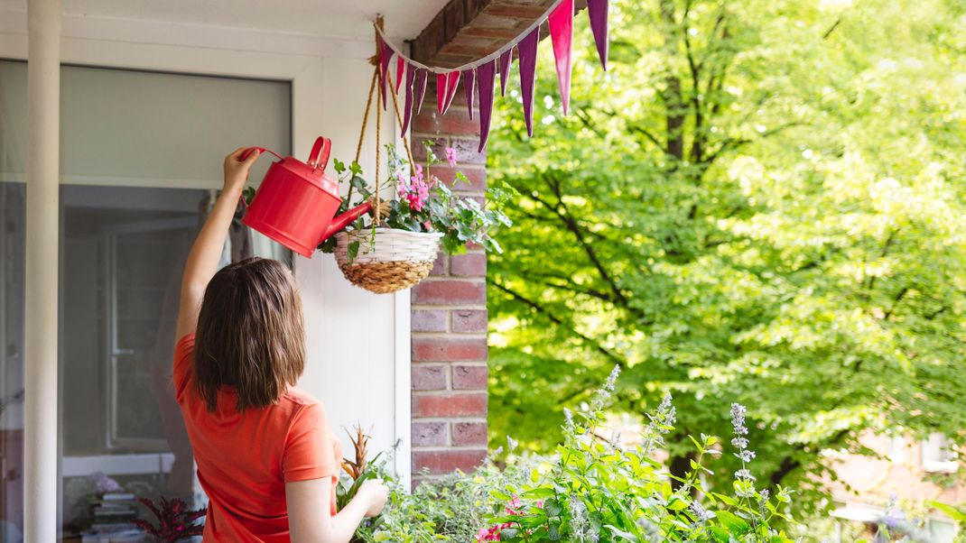 Kriegen Blumen Sonnenbrand? Die besten Tipps, um Verbrennungen zu vermeiden und Pflanzen bei Hitze zu helfen.