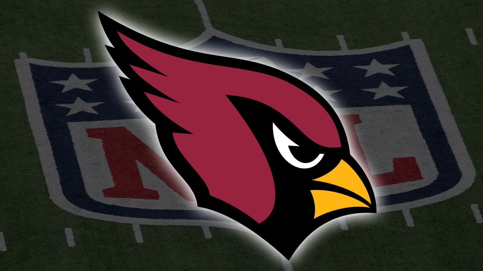 
                <strong>Arizona Cardinals</strong><br>
                
              