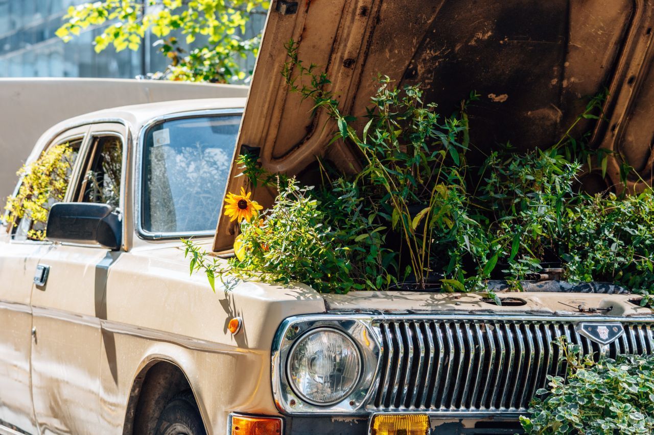 Deiner Kreativität sind keine Grenzen gesetzt. Selbst aus einem alten Auto kann ein Gemüsebeet werden.