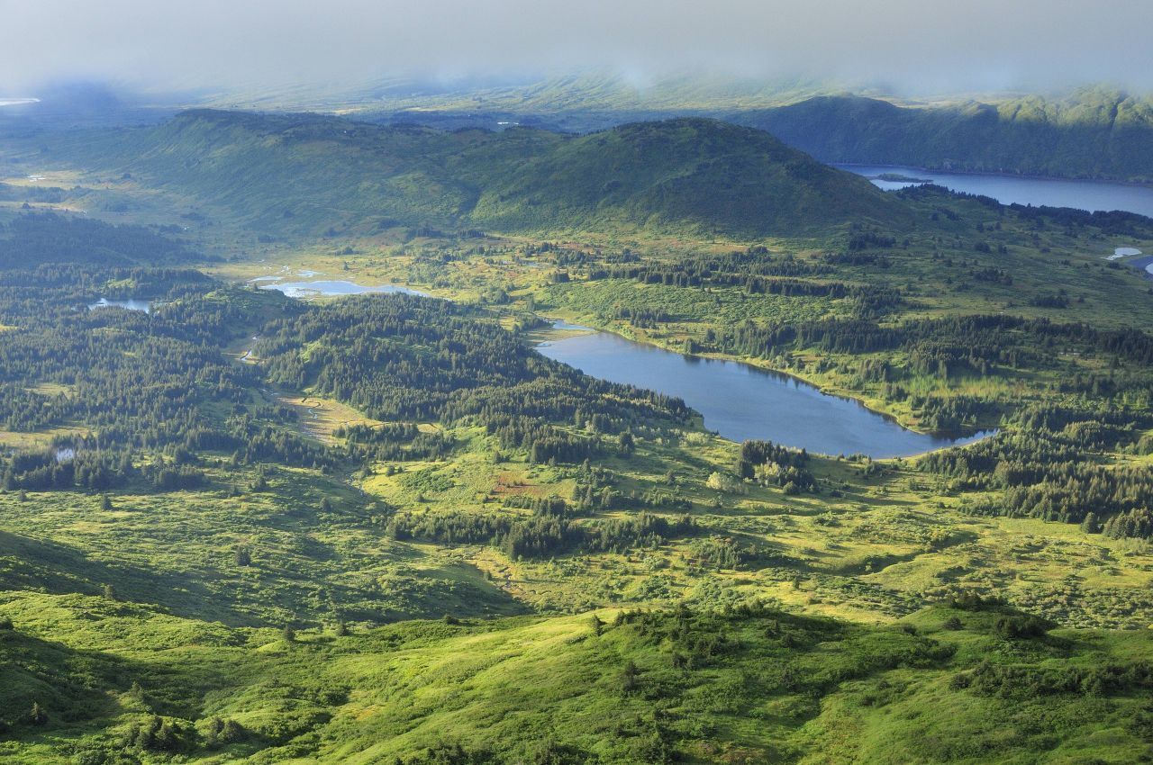 Der Beiname "Emerald Isle" sagt es schon: "Kodiak Island" vor der Südküste Alaskas ist die "grüne Insel". Die beste Aussicht auf die Naturschönheit hat man, wenn man den "Pillar Mountain Trail" entlang wandert. 2 Drittel der Insel, rund 7.600 Quadratkilometer, belegt der "Kodiak National Wildlife Refuge", ein Wildschutzgebiet, in dem die Kodiak-Bären (die größten Braunbären der Welt!) und auch 250 Vogel-Arten leben. Fährt man