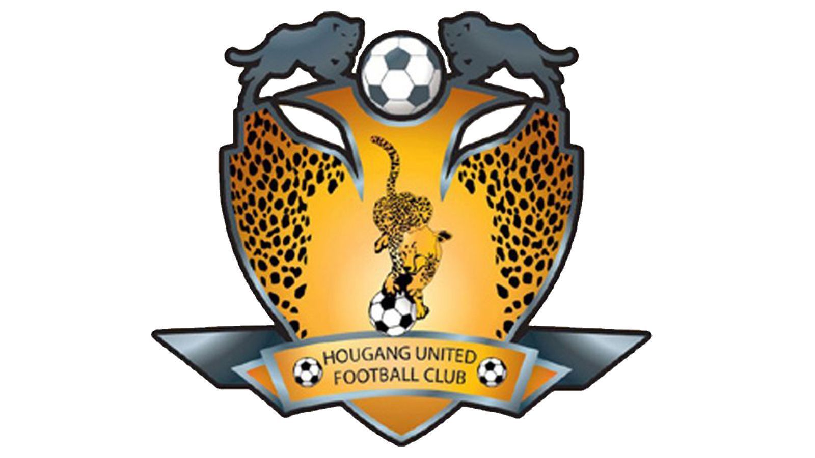 
                <strong>Die hässlichsten Vereinswappen der Welt </strong><br>
                Klub: Hougang UnitedLand: Singapur
              