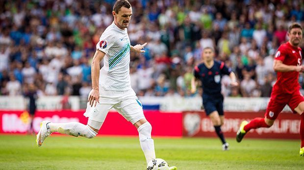 
                <strong>Ukraine vs. Slowenien</strong><br>
                Ukraine vs. Slowenien. Allerdings hat Slowenien Qualität im Kader, etwa durch den Top-Torschützen Milivoje Novakovic (früher 1. FC Köln), der für sein Land in der Quali sechs Treffer erzielte. Sowohl gegen England, als auch gegen die Schweiz verlor Slowenien zwei Mal nur knapp. Slowenien wird das Ticket für die Euro 2016 bekommen.
              
