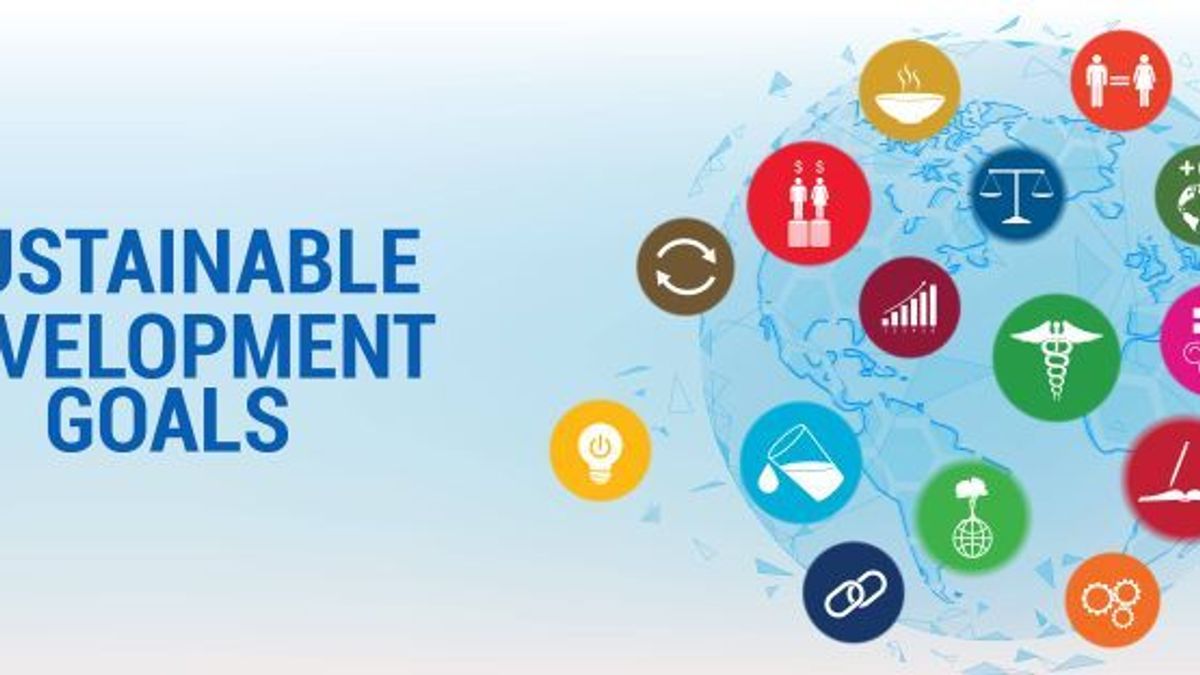 Was sind die UN „Sustainable Development Goals“ (SDGs)?