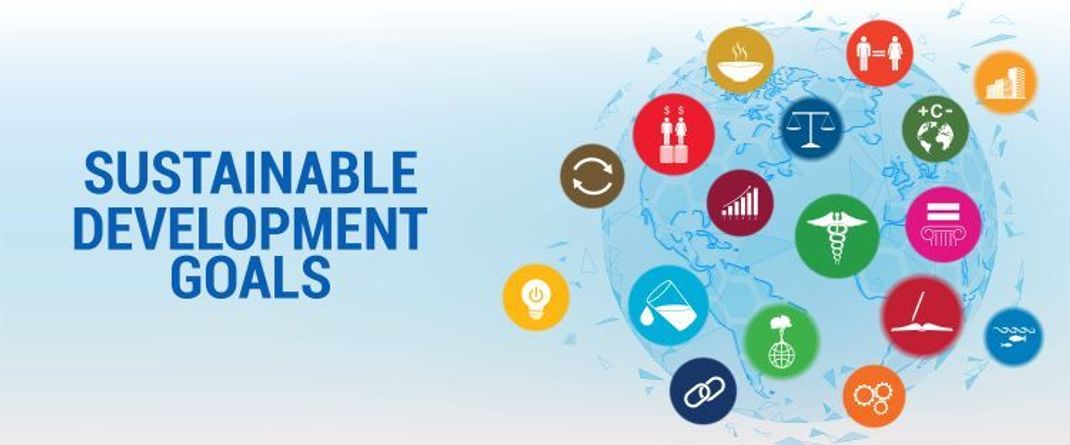 Was sind die UN „Sustainable Development Goals“ (SDGs)?