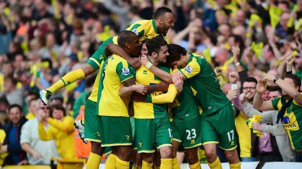 
                <strong>Norwich City</strong><br>
                Norwich City: 88,3 Millionen Euro
              
