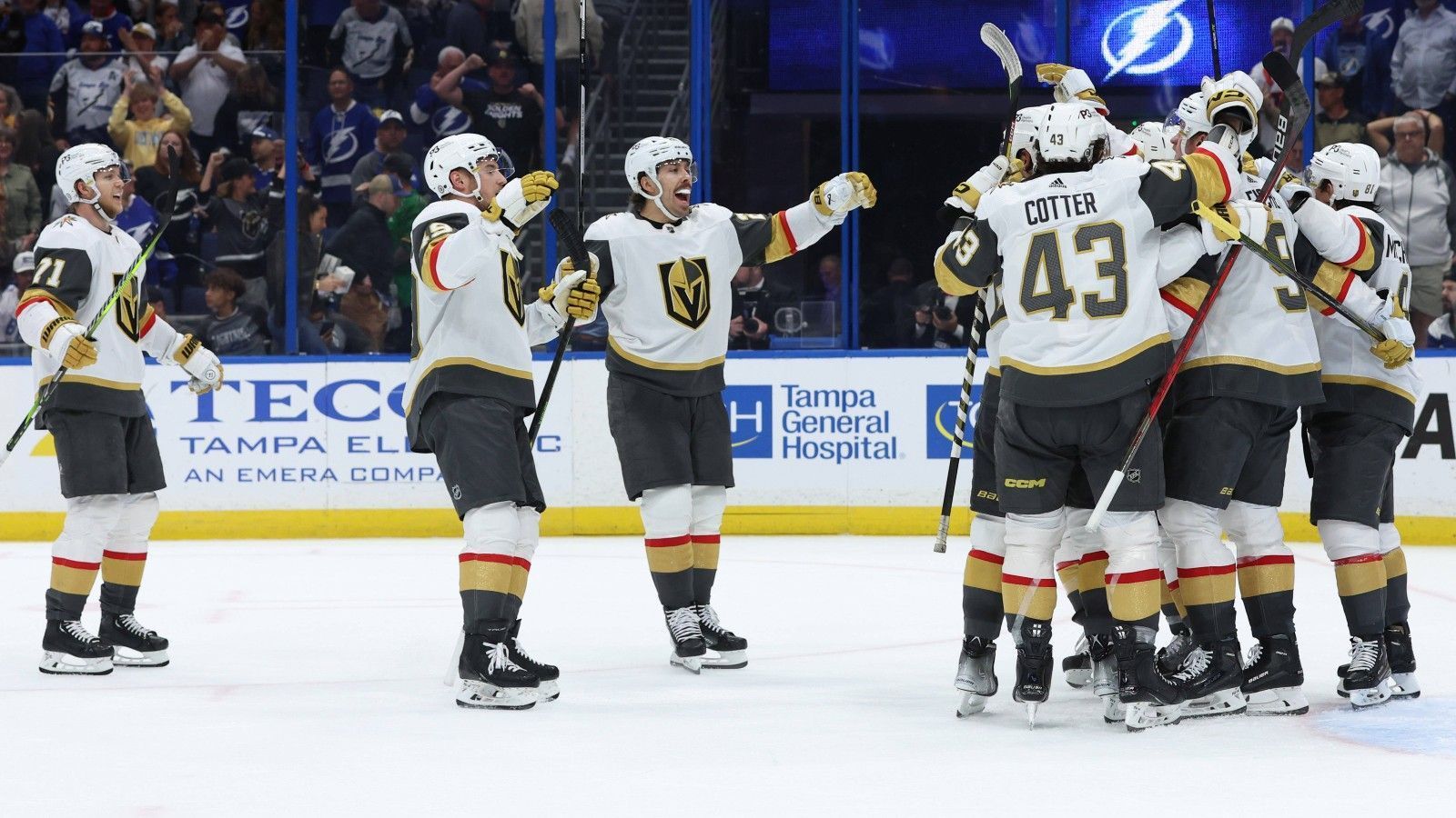 
                <strong>Vegas Golden Knights</strong><br>
                Als erstes Team der Western Conference hatten es die Vegas Golden Knights in die Playoffs geschafft. Bedanken können sie sich dafür bei den Pittsburgh Penguins, die mit ihrem Sieg gegen die Nashville Predators den Postseason-Einzug des noch jungen Teams möglich gemacht haben. Die Golden Knights stehen damit zum fünften Mal in nur sechs Spielzeiten in den Playoffs. 
              