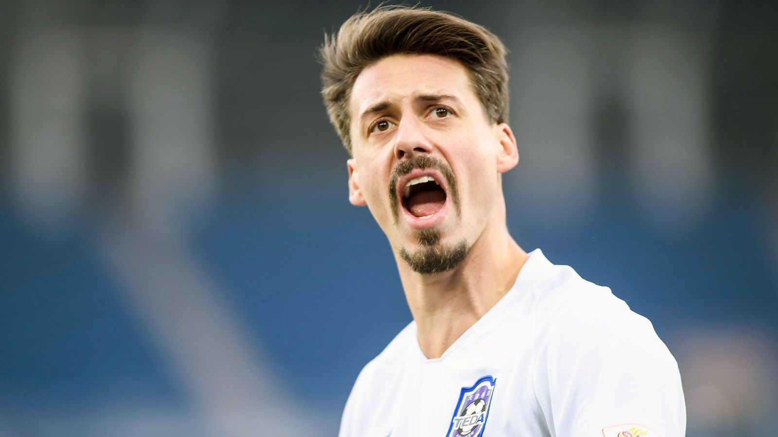 
                <strong>Sandro Wagner</strong><br>
                Verein: Tianjin TedaPosition: Mittelstürmer
              