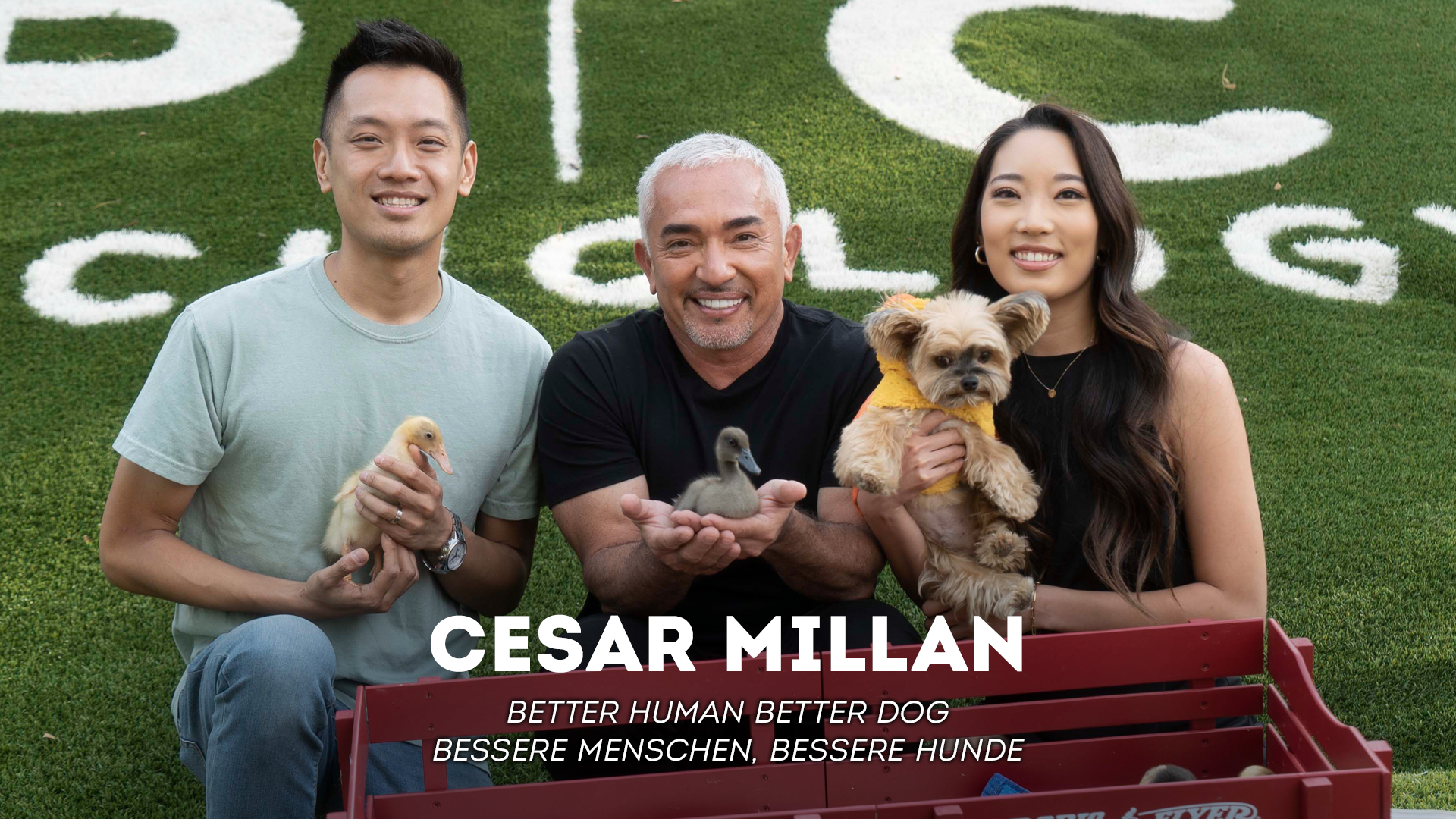 Cesar Millan: Better Guman Better Dog