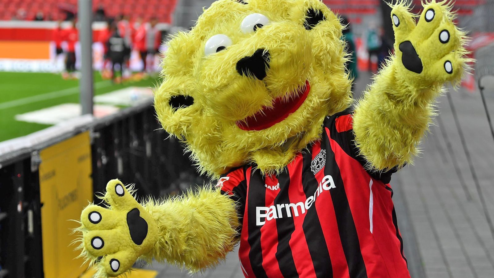 <strong>Platz 7: Bayer 04 Leverkusen - Brian the Lion</strong><br>
                Brian the Lion hat eine der schönsten Comeback-Stories in der Bundesliga. Jahrelang lebte er in Tierversuchslaboren des Bayer-Konzerns und wurde schwerstabhängig von Medikamenten. Sein zersaustes Fell und die weit aufgerissenen Augen wird er nie mehr los, allerdings ist er seit seinem Job als Maskottchen endlich clean. Immer weiter kämpfen, Brian!