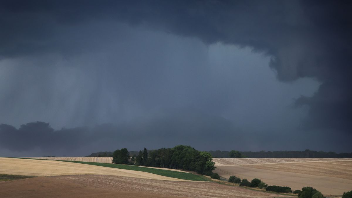 Gewitterwolken ziehen über die Getreidefelder des Ochsenfurter Gaus.