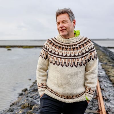 Robert Habeck (Bündnis 90/Die Grünen), ehemaliger Vizekanzler und Wirtschaftsminister