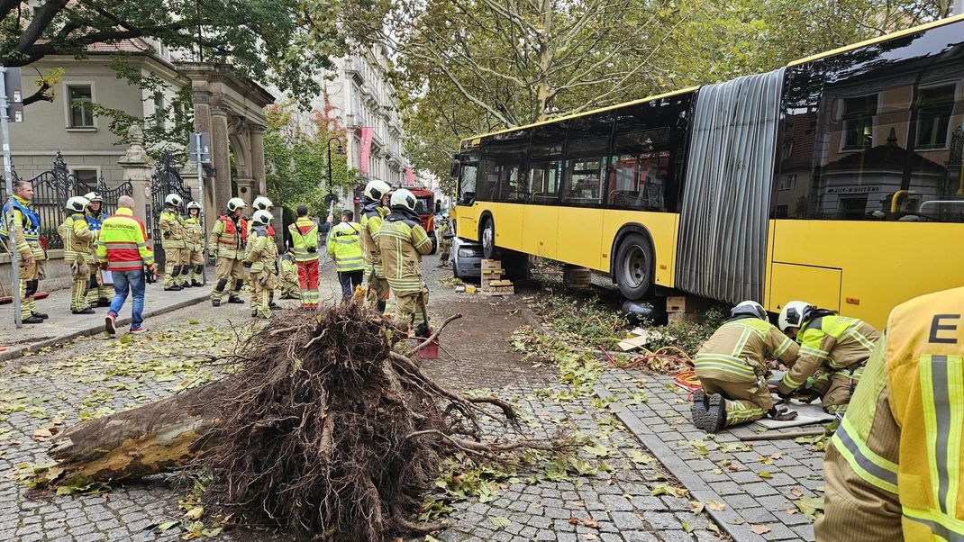 Der Bus kam auf einer vielbefahrenen Straße aus bisher ungeklärter Ursache auf die Gegenspur.