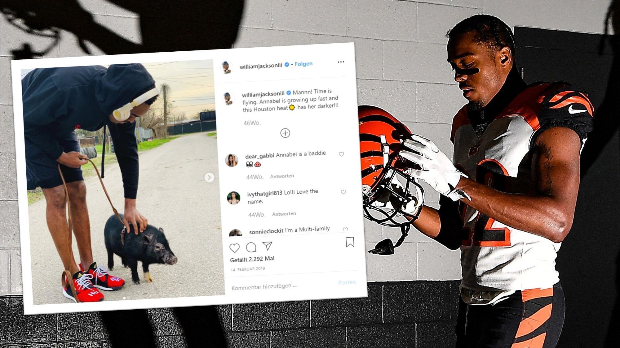 
                <strong>William Jackson </strong><br>
                Als Houston Native ist Jacksons Liebe zu Pferden wohl bekannt, aber ein Schwein? Damit hatten seine Fans wohl nicht gerechnet, als der Cornerback ein Bild mit seinem neuen Vierbeiner postete.
              