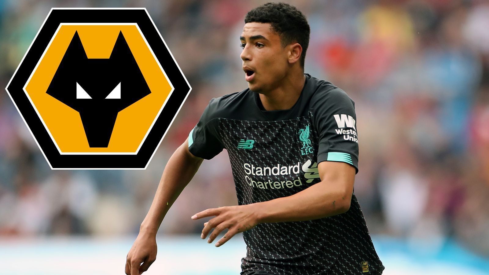 
                <strong>Ki-Jana Hoever (Wolverhampton Wanderers)</strong><br>
                Die Wolverhampton Wanderers haben Abwehrtalent Ki-Jana Hoever vom FC Liverpool unter Vertrag genommen. Der 18-jährige Niederländer unterschrieb beim Premier-League-Klub einen Fünfjahres-Vertrag und soll rund zehn Millionen Euro Ablöse gekostet haben. Hoever ist der bislang vierte Sommer-Neuzugang der Wolves, die davor bereits die Portugiesen Fabio Silva und Vitinha sowie den Brasilianer Marcal verpflichtet haben. 
              