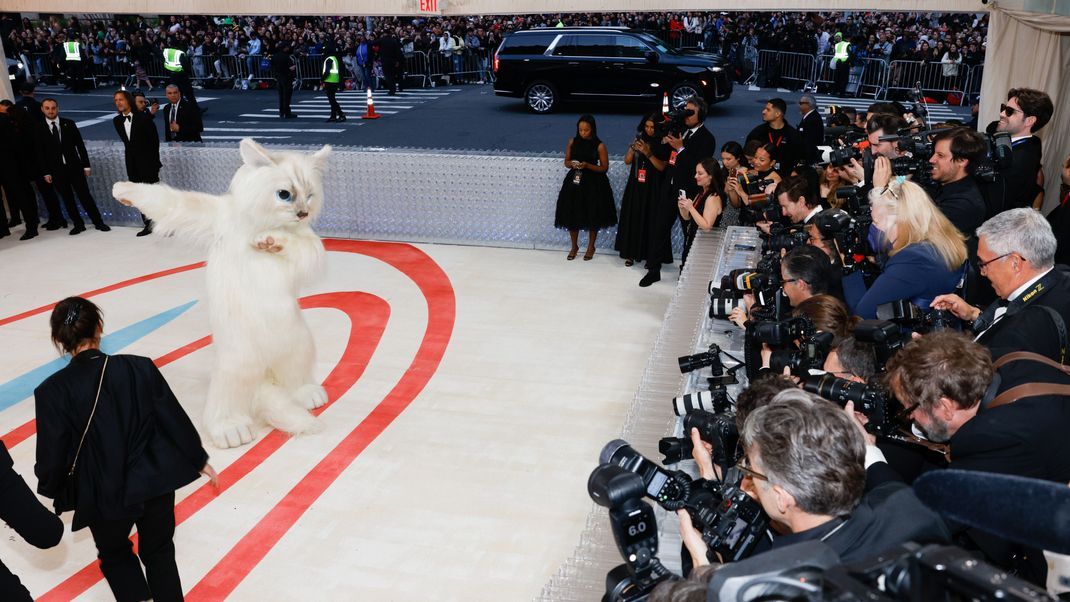 Jared Leto kam als XXL-Choupette und sorgte für jede Menge Spaß auf dem roten Teppich.