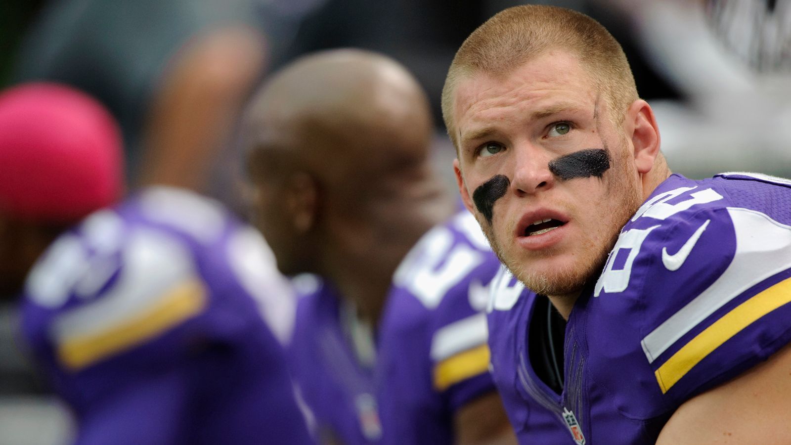 
                <strong>2013: Kyle Rudolph</strong><br>
                Pro Bowl 2013Kyle RudolphMinnesota VikingsTight End 
              