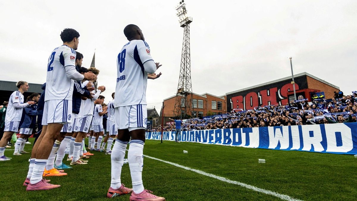 Die Schalker-Mannschaft nach dem Test in Dublin