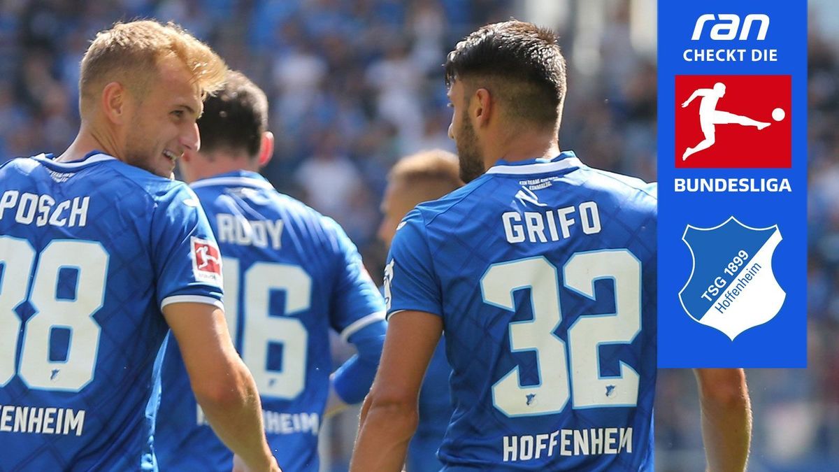 TSG Hoffenheim im Check