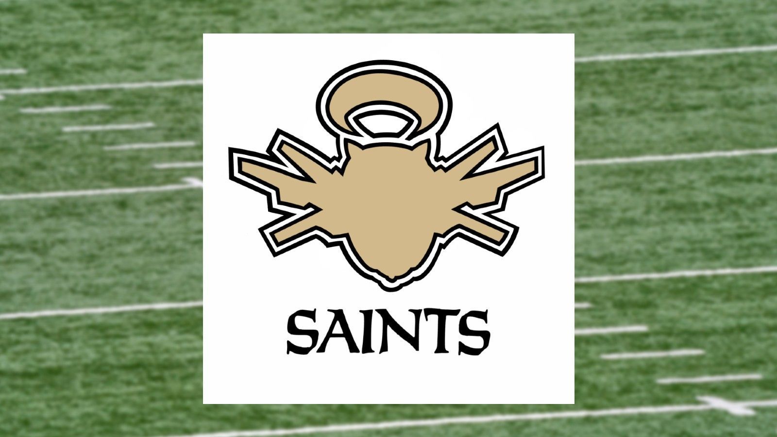 
                <strong>New Orleans Saints</strong><br>
                Pokemon: Ninjatom
              