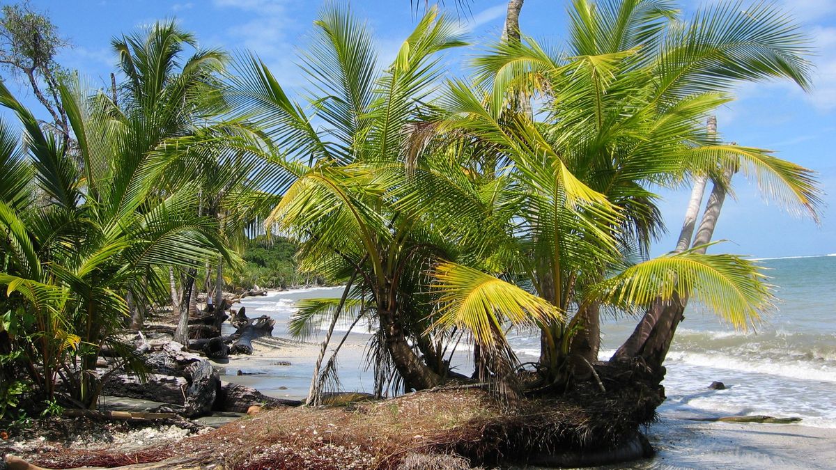 Auf dem Grundstück eines deutschen Paares im Westen Costa Ricas sind die Leichen einer Frau und eines Mannes gefunden worden.