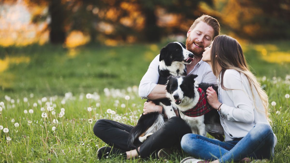 Pärchen mit 2 Hunden