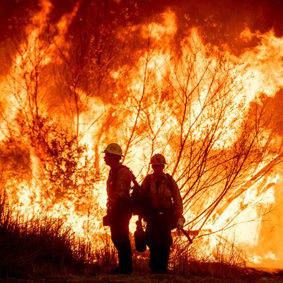 9. Januar 2025, USA, Los Angeles: Feuerwehrleute bekämpfen das Kenneth-Feuer im Stadtteil West Hills von Los Angeles. 