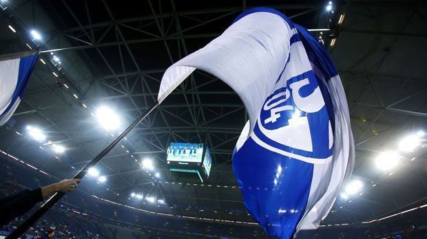 
                <strong>FC Schalke 04</strong><br>
                Im Vergleich dazu werden selbst die teuersten Dauerkarten in der Bundesliga ein Schnäppchen für die Fans. Die teuersten Saisontickets gibt es überraschenderweise beim FC Schalke. Eine Dauerkarte der höchsten Kategorie kostet 889 Euro pro Jahr.
              