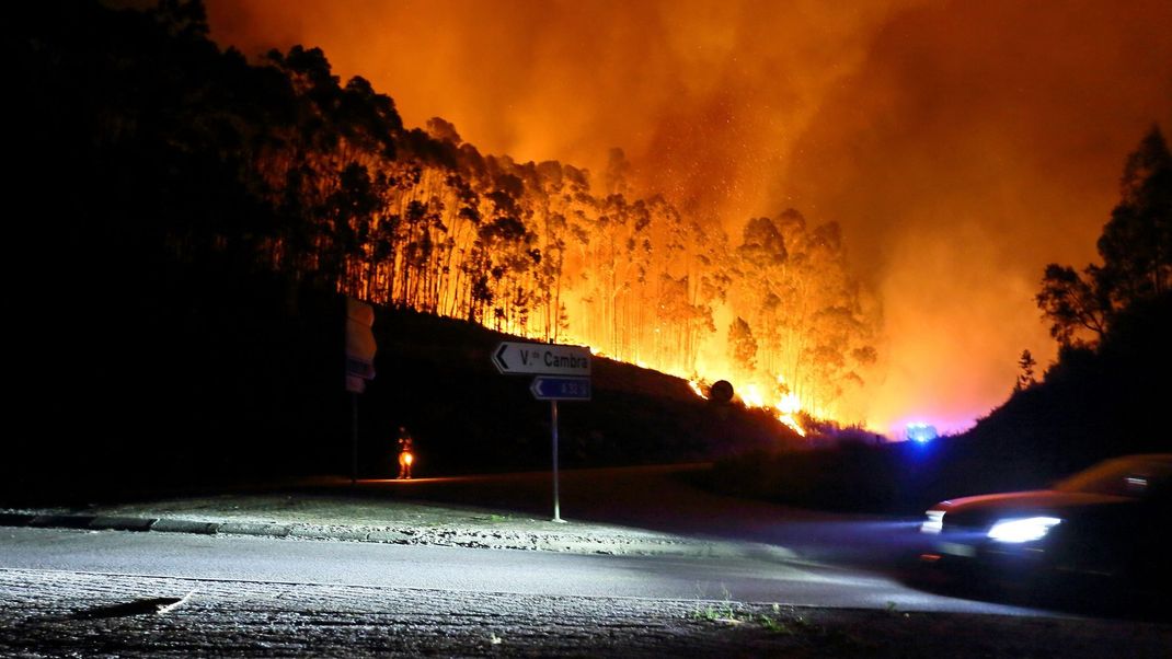 Mehr als 5.000 Personen in Portugal kämpfen gegen die schweren Waldbrände.