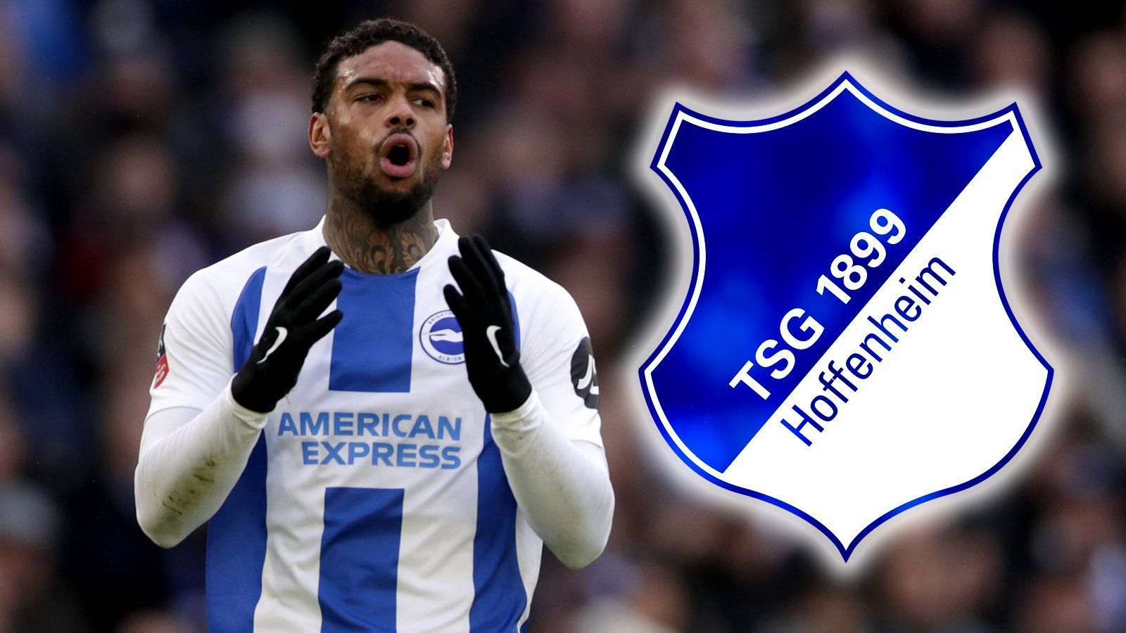 
                <strong>Jürgen Locadia (1899 Hoffenheim)</strong><br>
                Die TSG Hoffenheim hat auf den Abgang von Joelinton reagiert und sich in der Offensive verstärkt. Mittelstürmer Jürgen Locadia kommt auf Leihbasis für ein Jahr von Premier-League-Klub Brighton & Hove Albion. "Jürgen ist ein physisch starker Stürmer mit einer enormen Präsenz vor dem gegnerischen Tor. Er verfügt über einen hervorragenden Abschluss – sowohl mit dem rechten als auch mit dem linken Fuß", erklärte Hoffenheims Direktor Profifußball Alexander Rosen auf der Vereins-Homepage. In der vergangenen Saison kam der 25-Jährige in der Liga in 26 Partien zum Einsatz und erzielte dabei zwei Tore. Im Januar 2018 wechselte der Niederländer für 17 Millionen Euro von der PSV Eindhoven auf die Insel und besitzt dort noch einen Vertrag bis 2022.
              