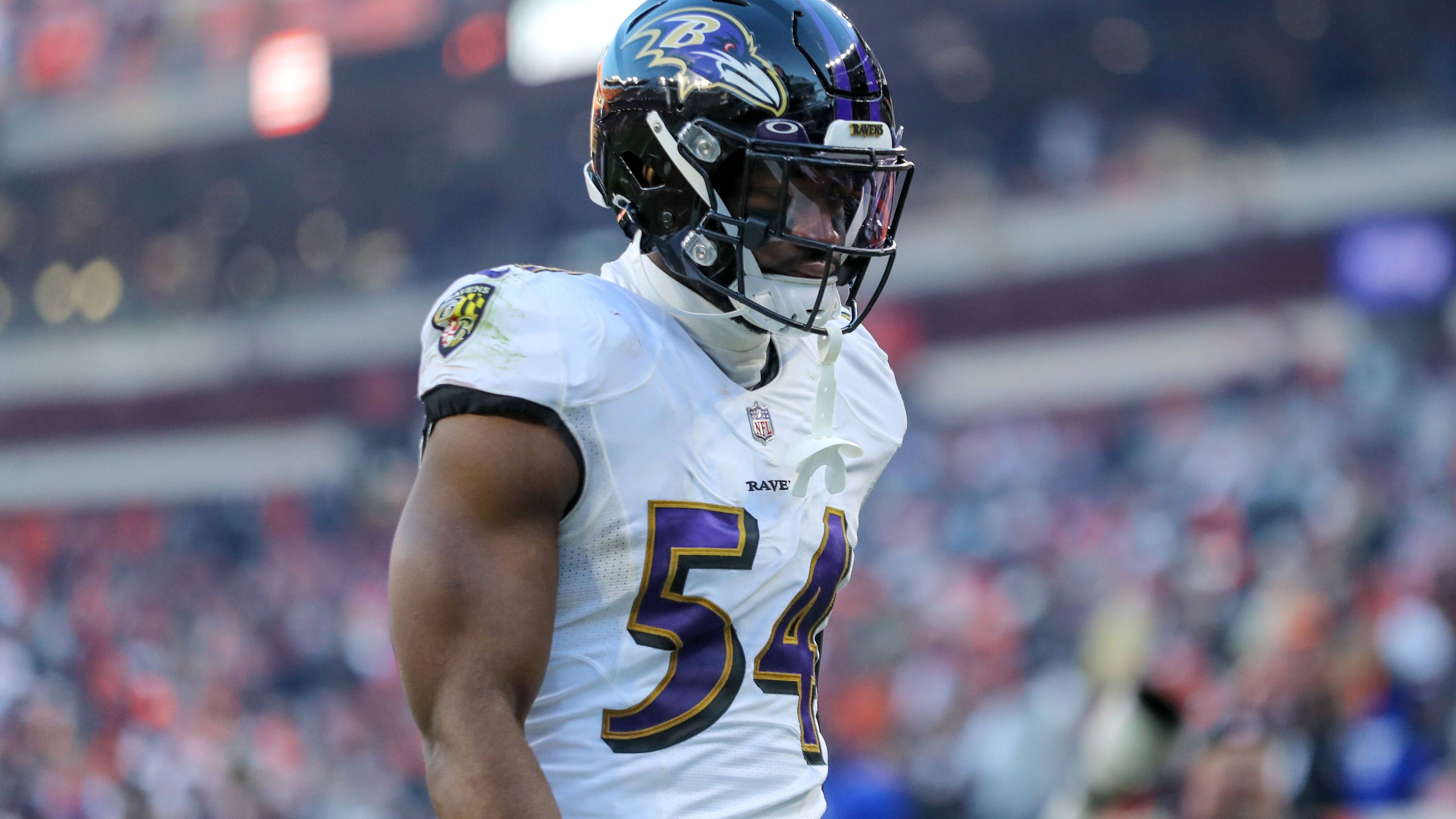 <strong>Baltimore Ravens</strong><br><strong>Gefährdeter Spieler:</strong> Tyus Bowser (DE)<br><strong>Cap Savings:</strong> 5.500.000 US-Dollar<br><strong>Dead Money:</strong> 2.000.000 US-Dollar