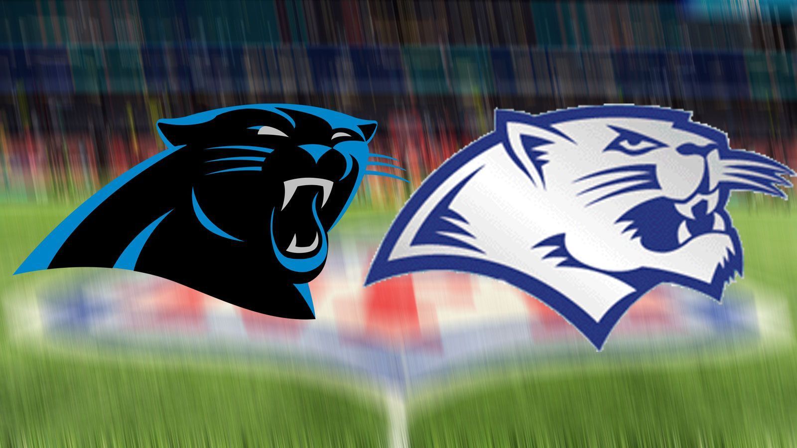 
                <strong>Flower Mound Jaguars (High-School-Team)</strong><br>
                Heimat: Flower Mound, TexasÄhnliches NFL-Logo: Carolina Panthers (l./ Charlotte, North Carolina)
              