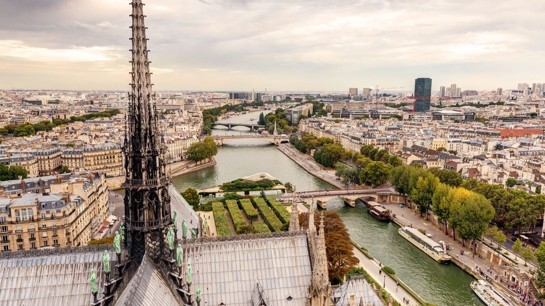 Ob über den Dächern der Stadt oder doch an der Seine - Paris ist ein Genuss für Löwen