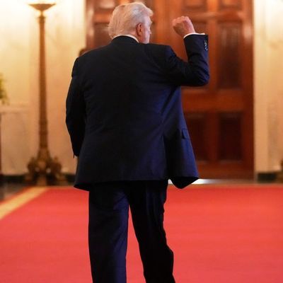 Donald Trump will mit Wladimir Putin über ein Kriegsende in der Ukraine verhandeln – Selenskyj soll erst später eingebunden werden. 
