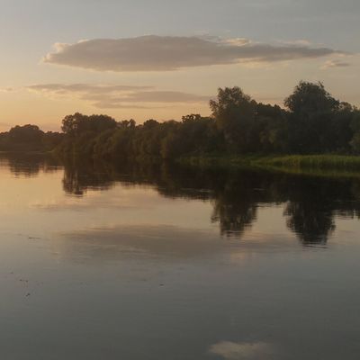 A PVC motorized inflatable boat floats on the river, while fishermen catch predatory fish by trolling. Illuminated by the summer sunset sun, tree branches lean over the water. Trees and shrubs grow