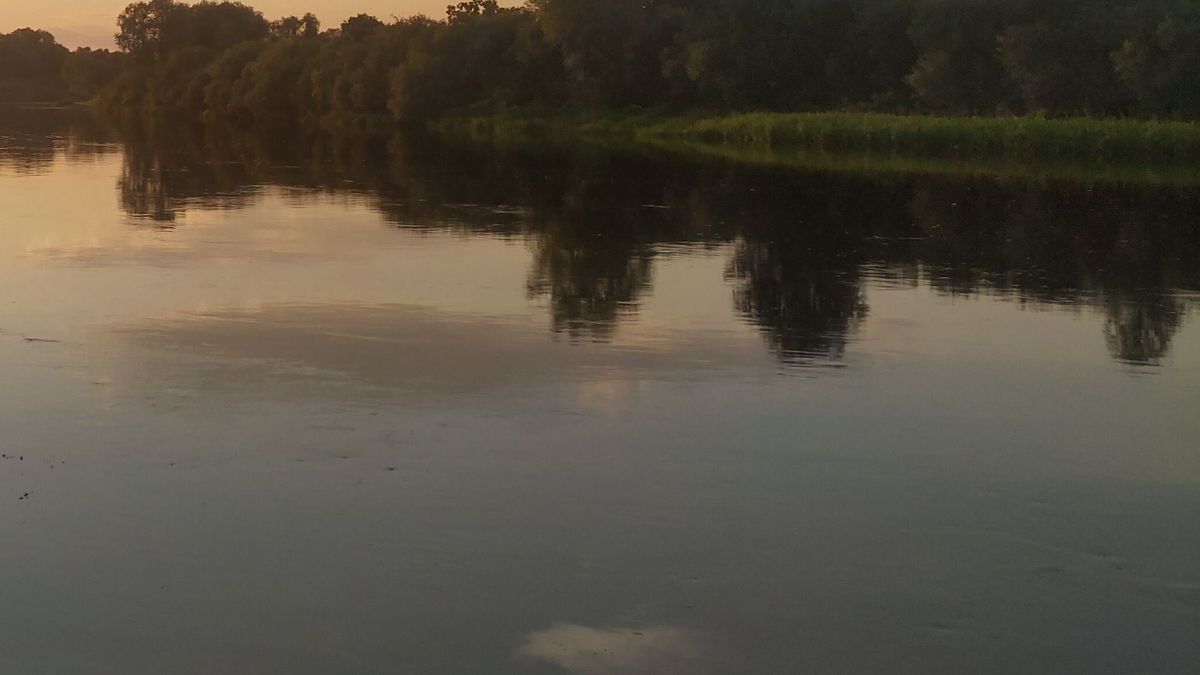 A PVC motorized inflatable boat floats on the river, while fishermen catch predatory fish by trolling. Illuminated by the summer sunset sun, tree branches lean over the water. Trees and shrubs grow