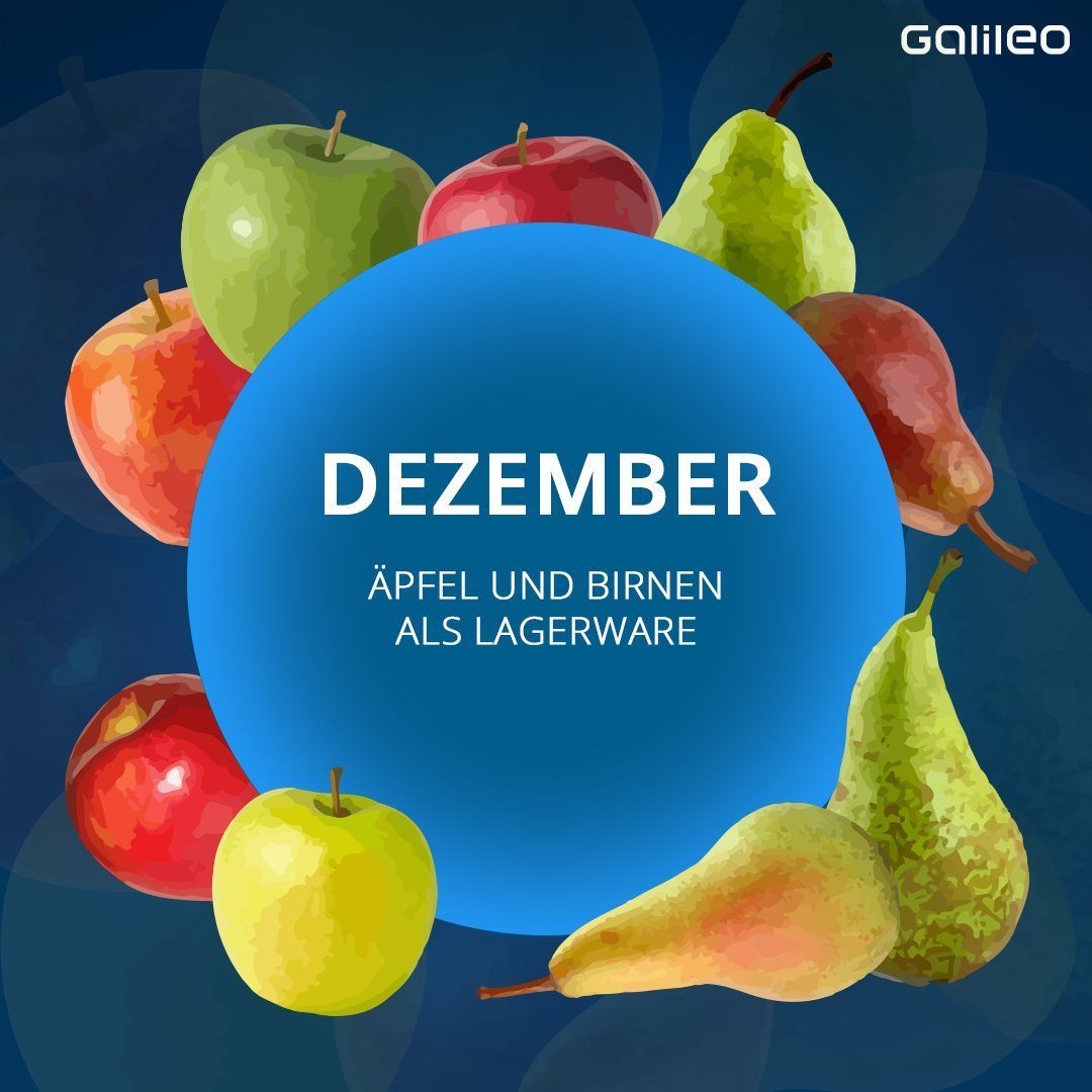 Saisonkalender Obst