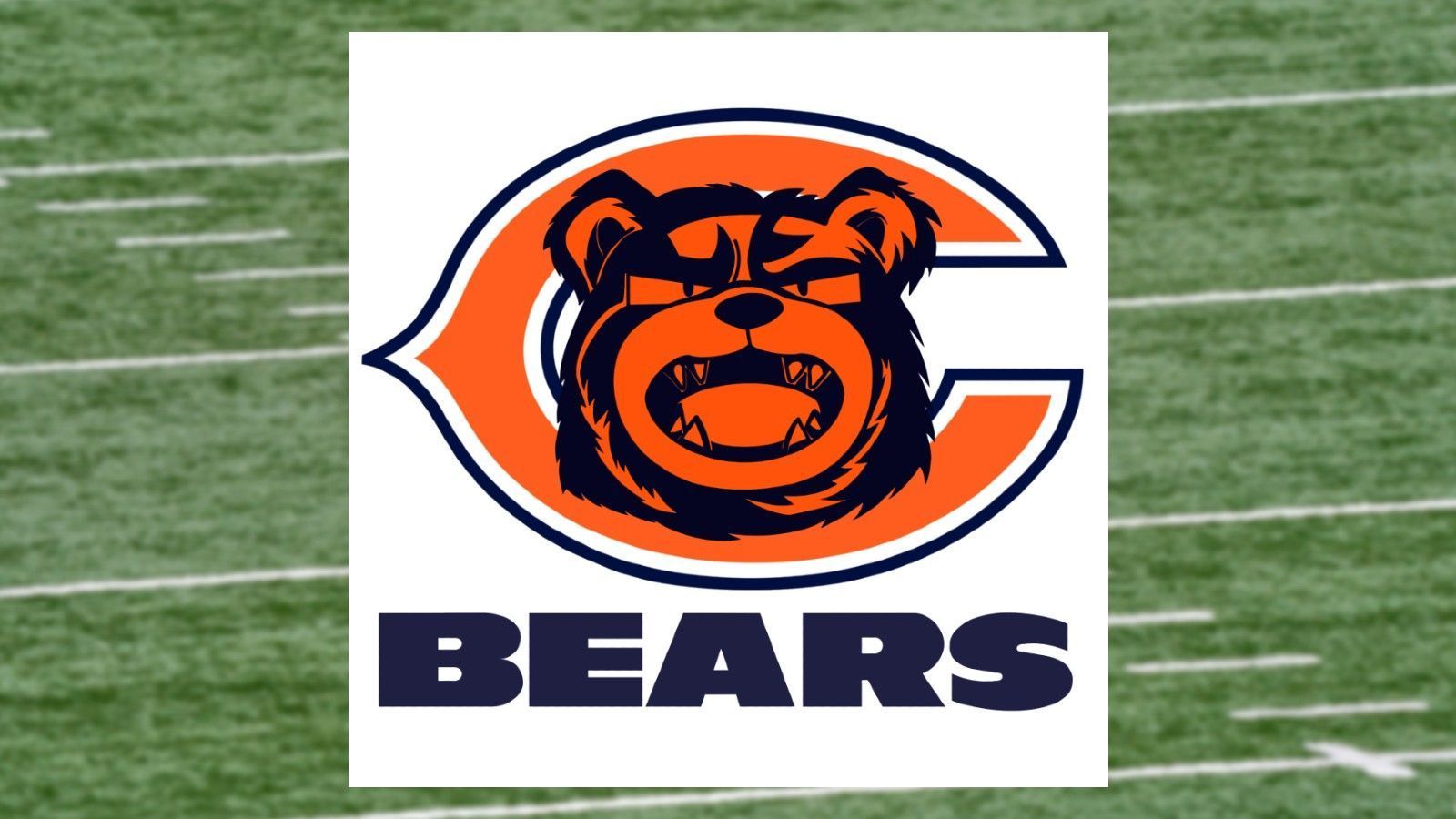 
                <strong>Chicago Bears</strong><br>
                Pokemon: Ursaring
              