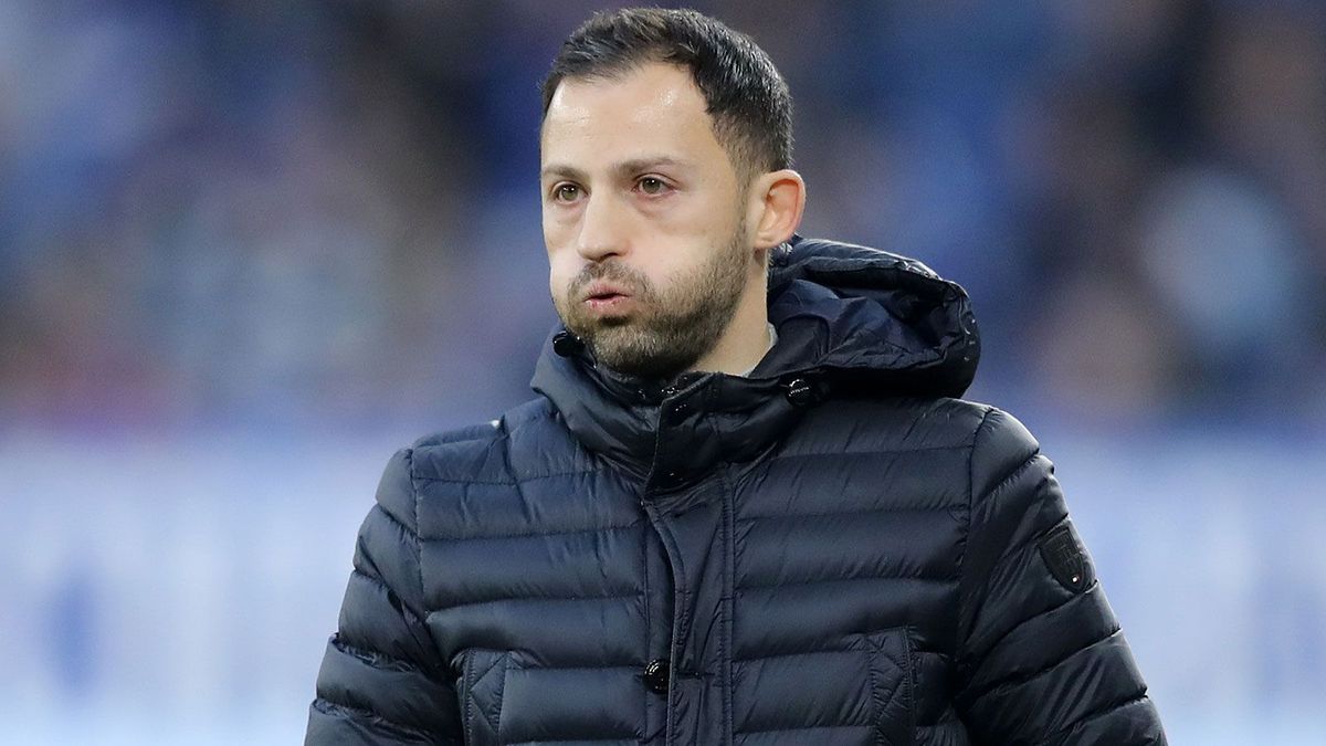 Domenico Tedesco