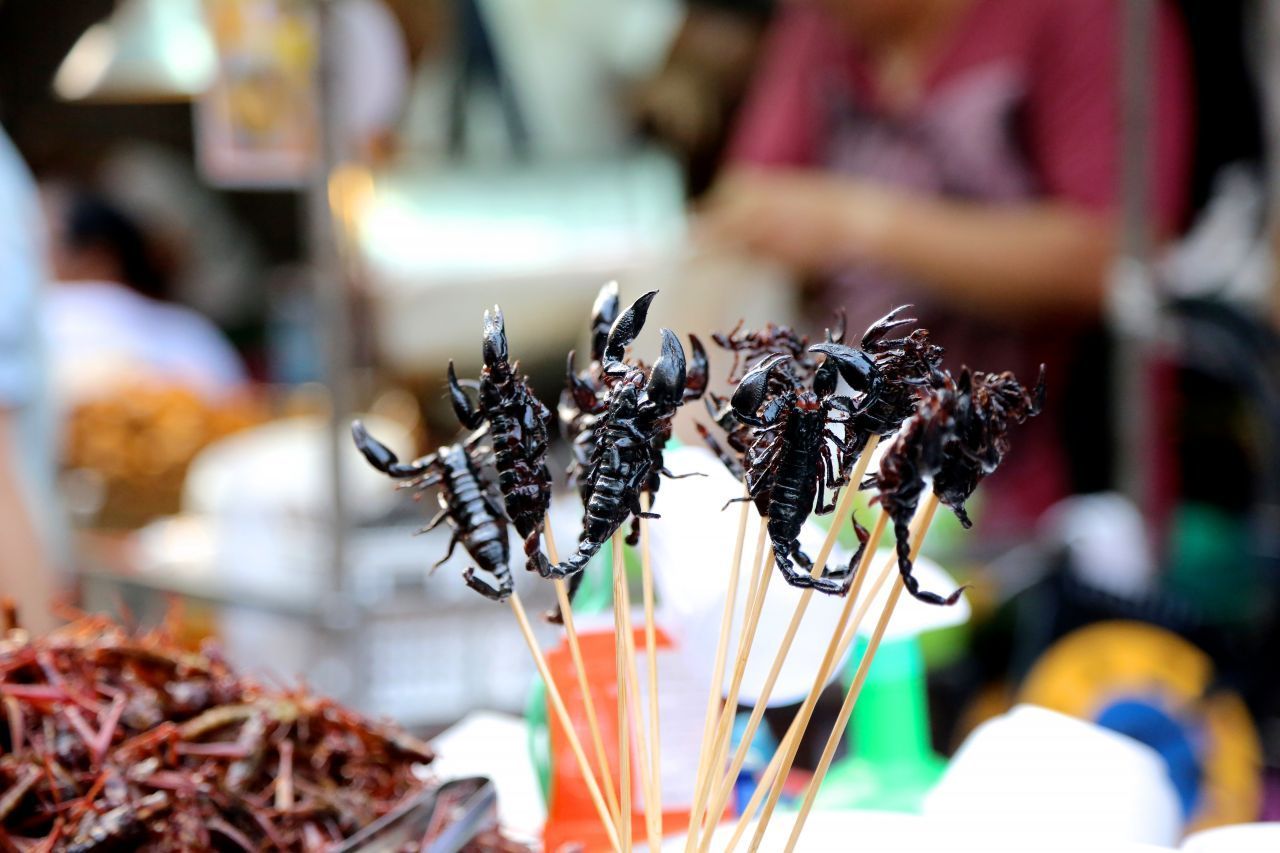 In Thailand werden gegrillte Skorpione besonders geschätzt. Diese sollen angeblich sogar die Potenz steigern.