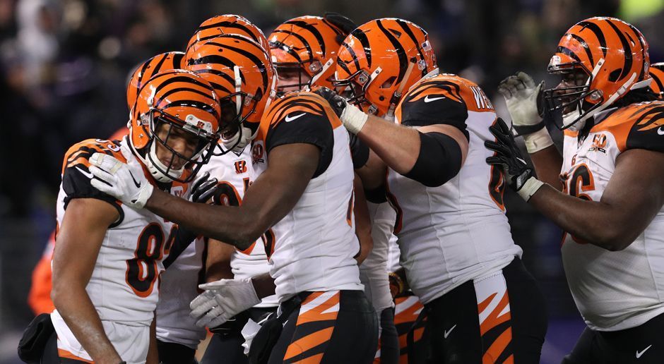 
                <strong>Cincinnati Bengals</strong><br>
                NFL-Rekord: Linebacker Carl Lawson erreichte mit 8,5 Sacks den besten Wert aller Rookies in dieser Saison.
              