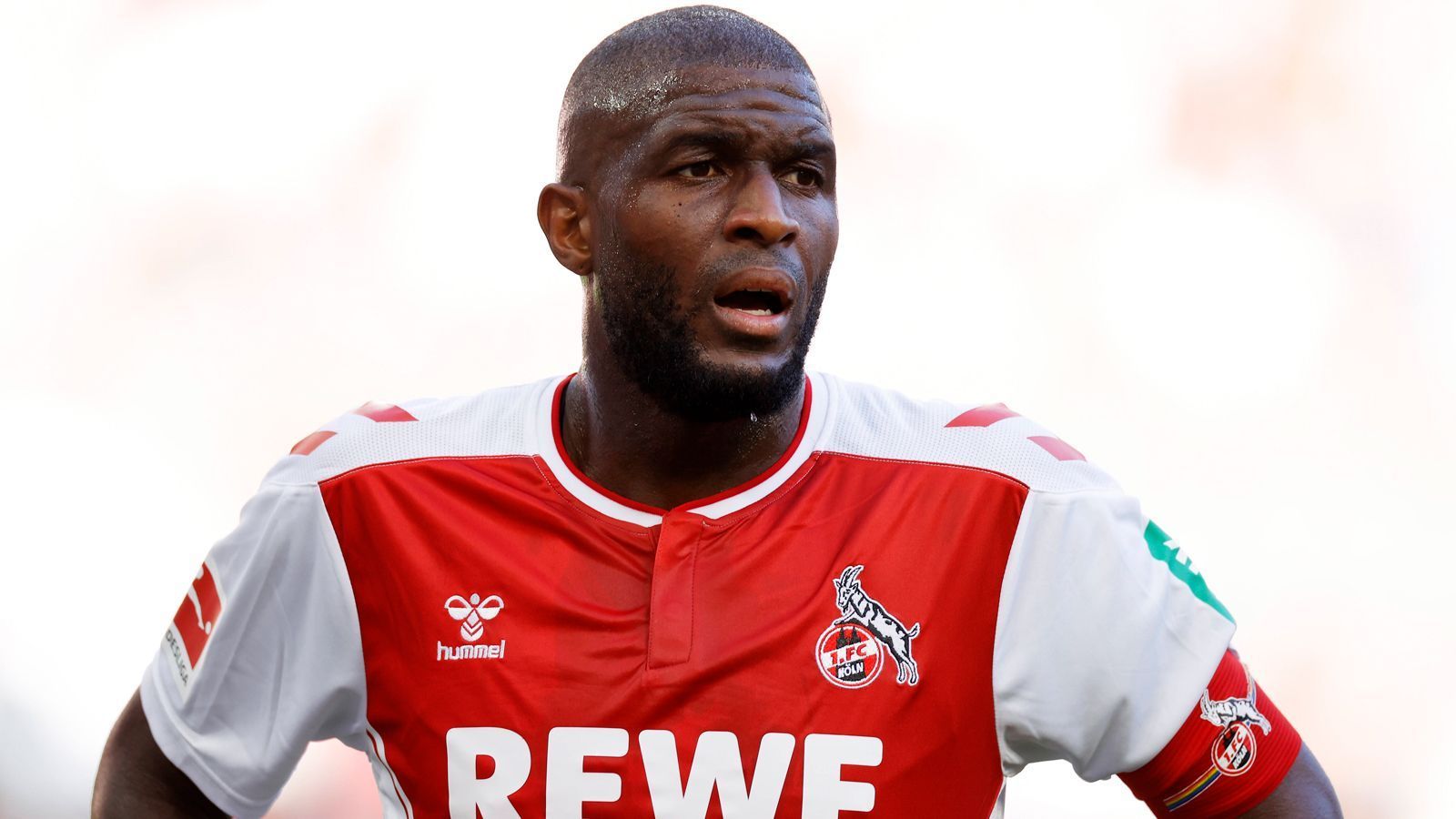 
                <strong>Anthony Modeste (1. FC Köln)</strong><br>
                Auch Modeste soll laut der "Bild" den Dortmundern angeboten worden sein. Beim "Effzeh" ist der Franzose Publikumsliebling - auch weil er regelmäßig liefert. Der 34 Jahre alte Routinier hat in der Bundesliga in 190 Partien 83 Mal genetzt - eine gewisse Torgarantie würden sich die Dortmunder mit dem Strafraumstürmer also durchaus holen. Als Übergangslösung bis Haller wieder zu Einhundert Prozent fit ist, nicht unrealistisch.
              